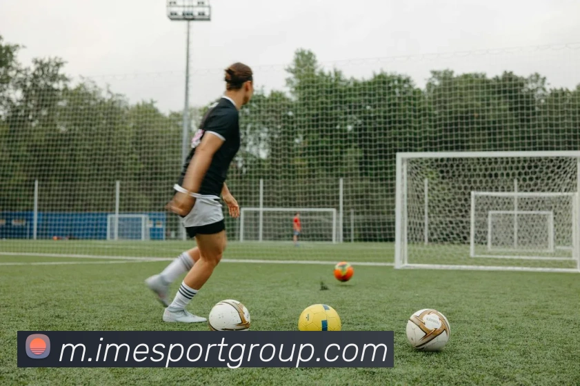 IM电竞APP 封面图